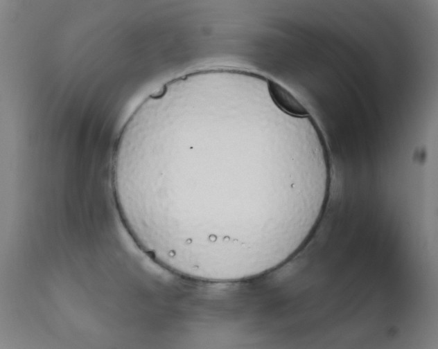 X0000111881390200908201247