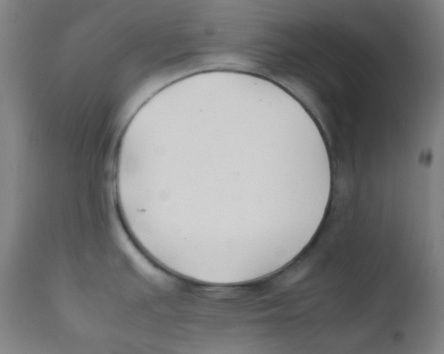 X0000111881391200908201247