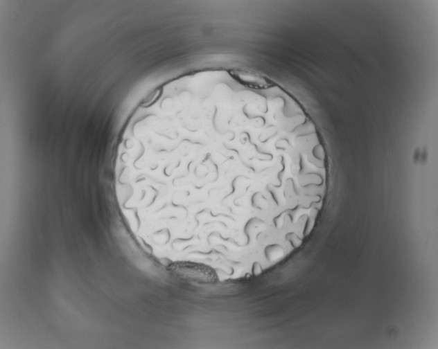 X0000111881392200908201247