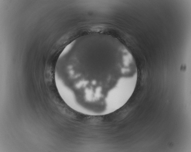 X0000111881394200908201246