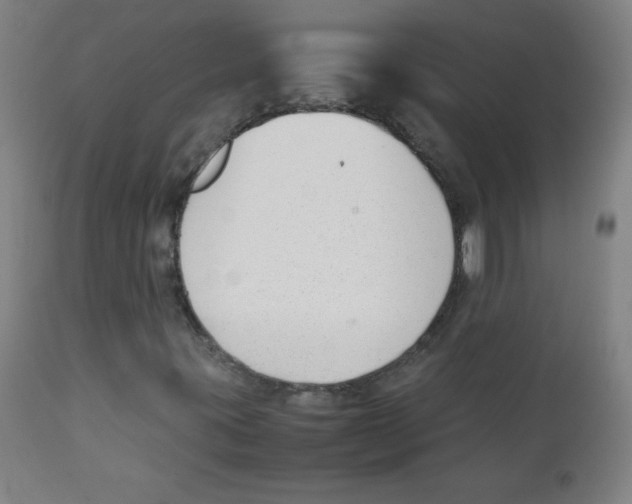 X0000111881395200908201246