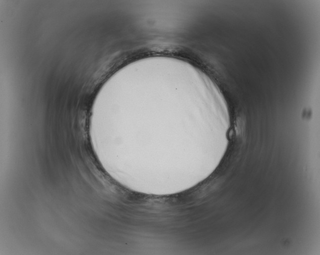 X0000111881396200908201246