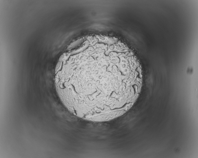 X0000111881397200908201246