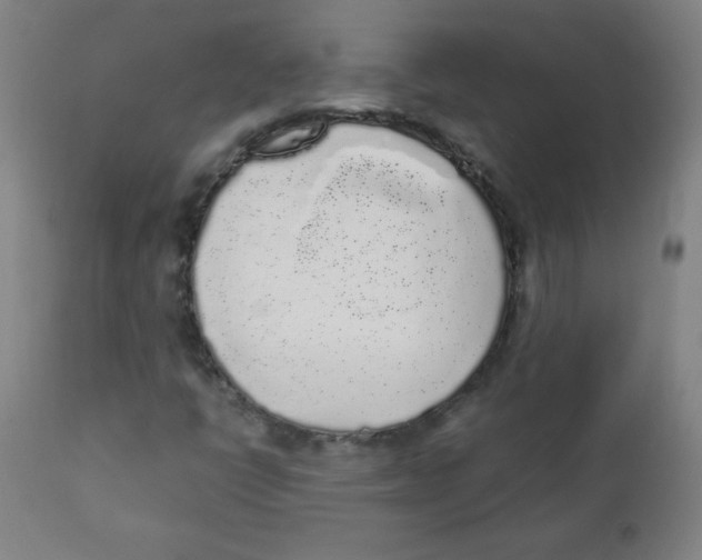 X0000111881398200908201246