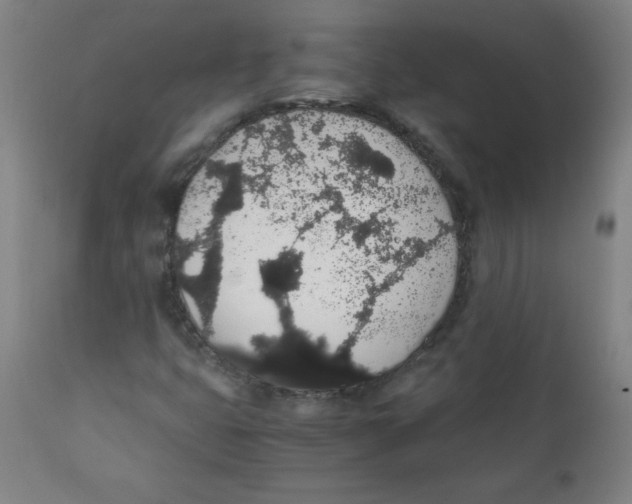 X0000111881399200908201246
