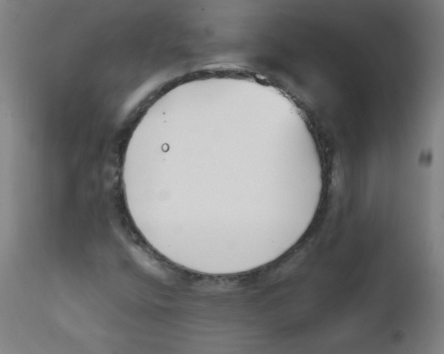 X0000111881400200908201246