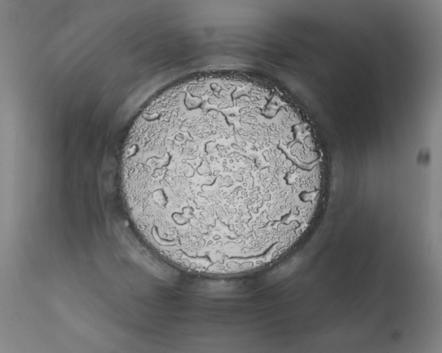 X0000111881401200908201246
