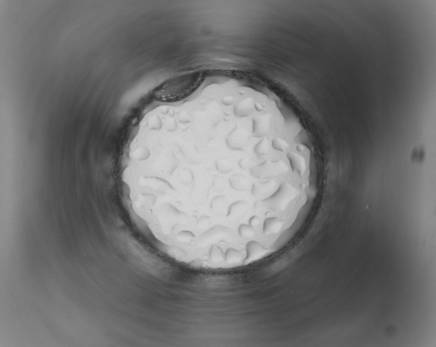 X0000111881402200908201246