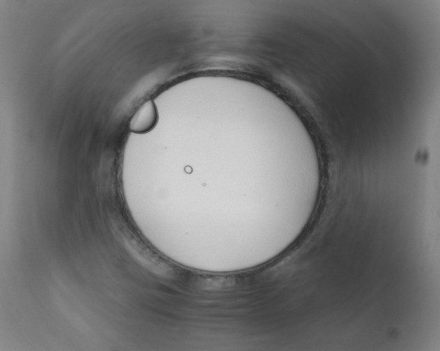 X0000111881403200908201246