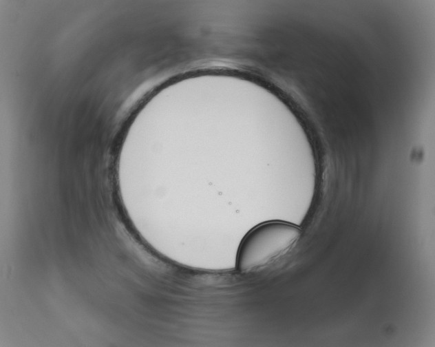 X0000111881404200908201246
