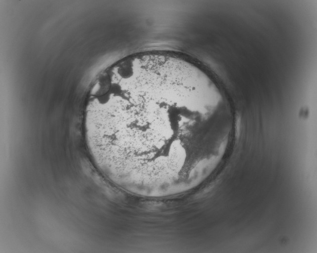 X0000111881405200908201246