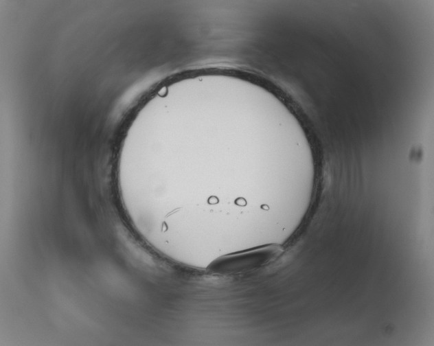 X0000111881406200908201246