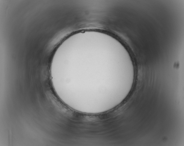 X0000111881407200908201247