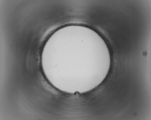 X0000111881408200908201247