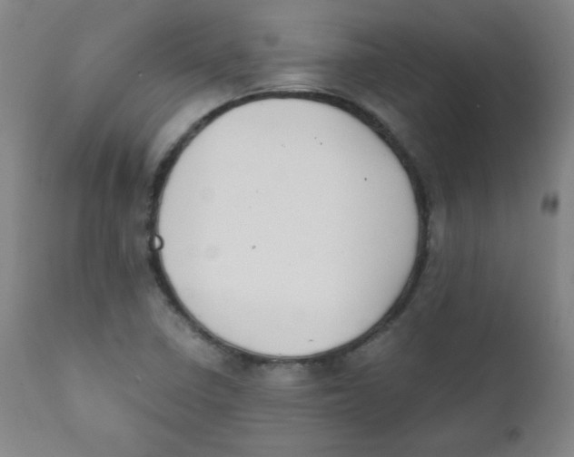 X0000111881410200908201247