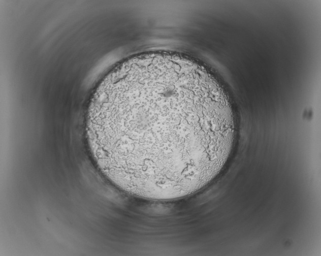 X0000111881411200908201247