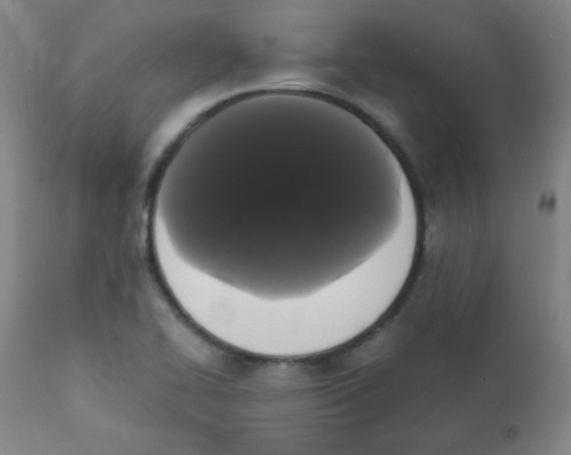 X0000111881414200908201247