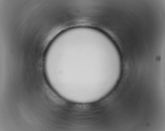 X0000111881415200908201247