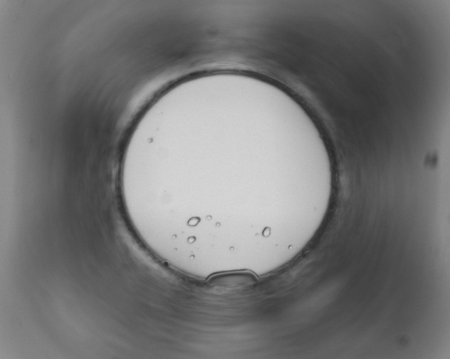 X0000111881416200908201247