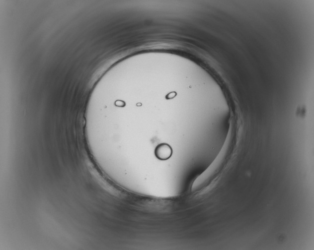 X0000111881417200908201247