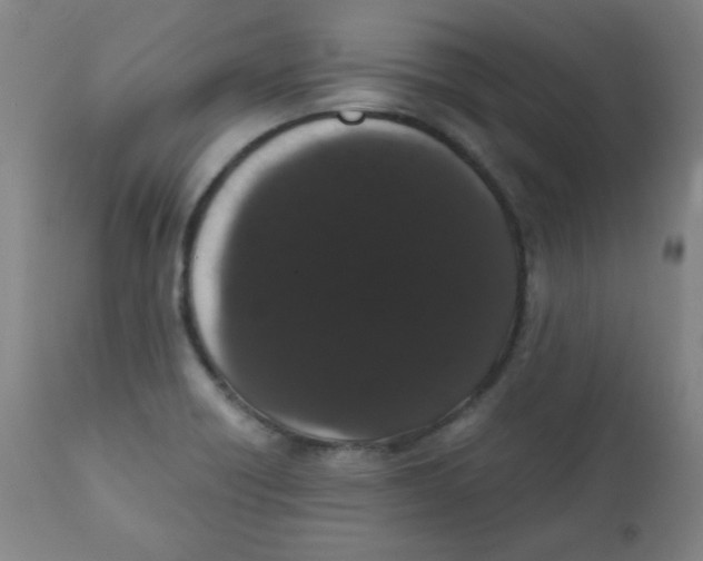 X0000111881418200908201247