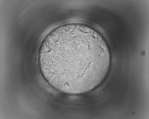 X0000111881419200908201247
