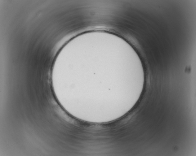 X0000111881420200908201247