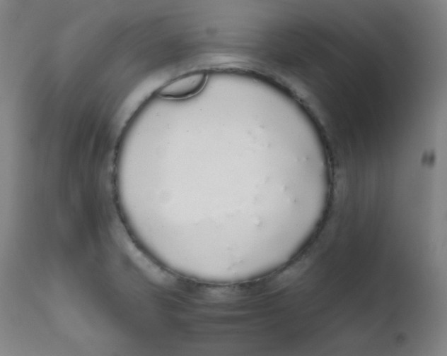 X0000111881421200908201247