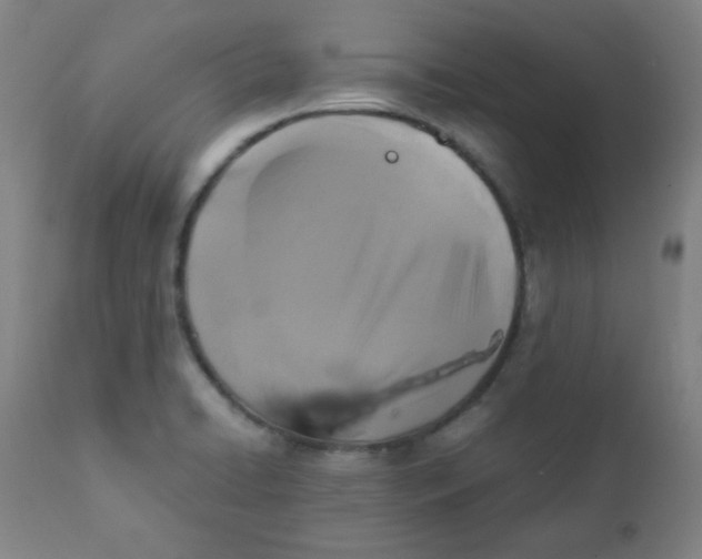 X0000111881422200908201247