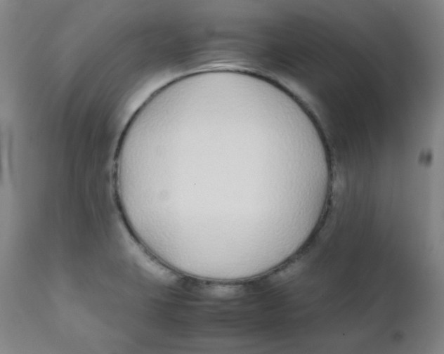 X0000111881423200908201247
