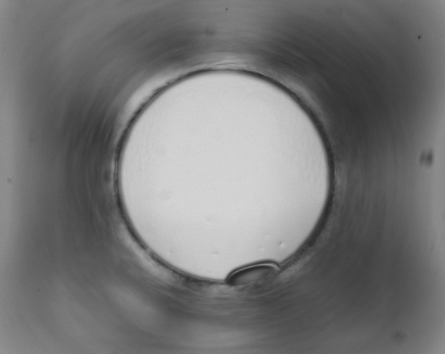 X0000111881424200908201247