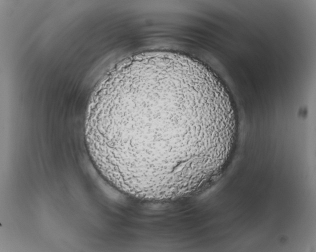 X0000111881425200908201247