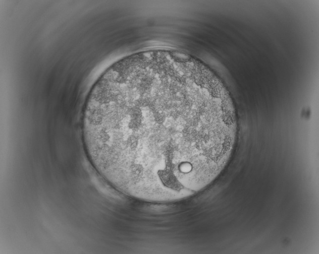 X0000111881427200908201247