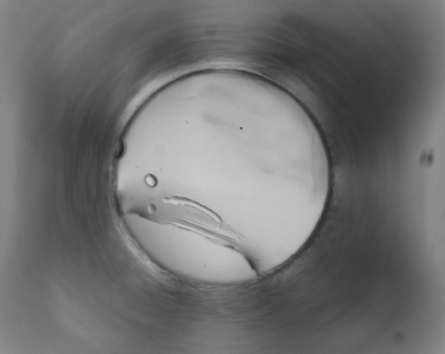 X0000111881428200908201247