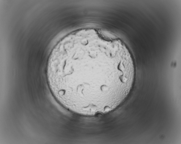 X0000111881429200908201247