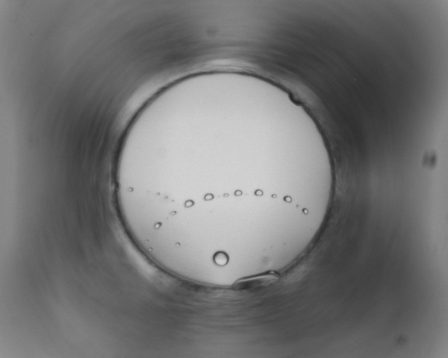 X0000111881430200908201247