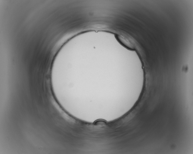 X0000111881432200908201247