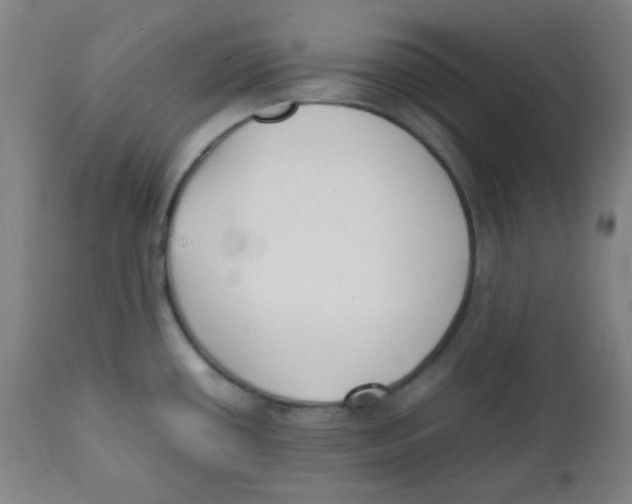 X0000111881434200908201247