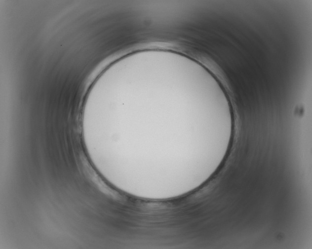 X0000111881436200908201247