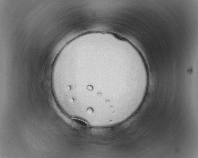 X0000111881437200908201247