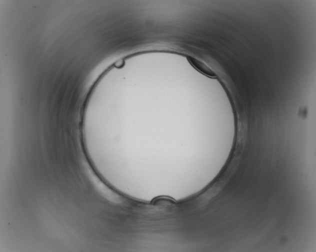 X0000111881438200908201247
