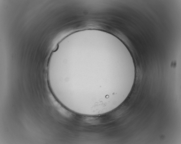X0000111881439200908201247