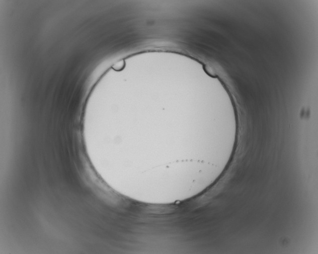 X0000111881440200908201247