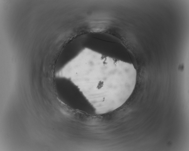 X0000111881441200908201246