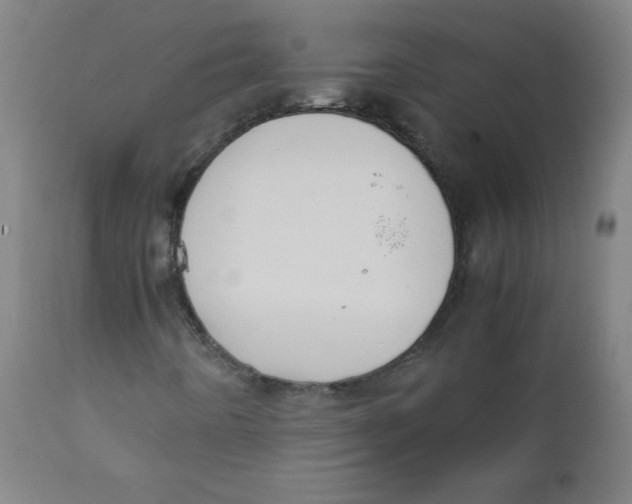 X0000111881442200908201246