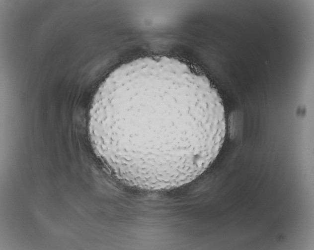 X0000111881443200908201246