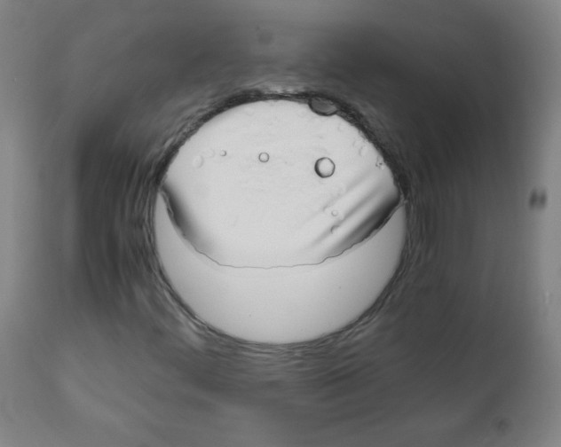 X0000111881444200908201246