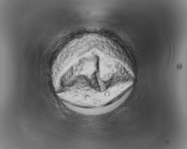 X0000111881445200908201246