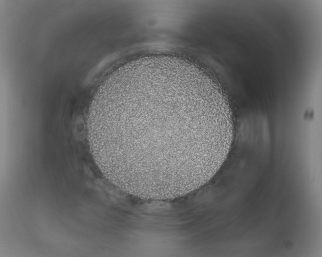 X0000111881446200908201246