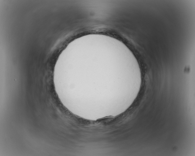 X0000111881447200908201246